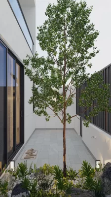 Thiết kế nội thất hiện đại Bà Rịa